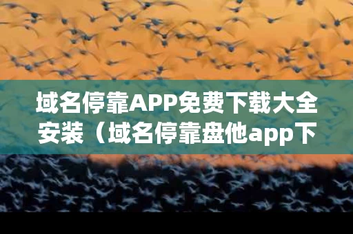 域名停靠APP免费下载大全安装（域名停靠盘他app下载免费版）