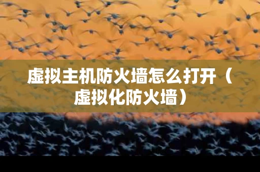 虚拟主机防火墙怎么打开（虚拟化防火墙）