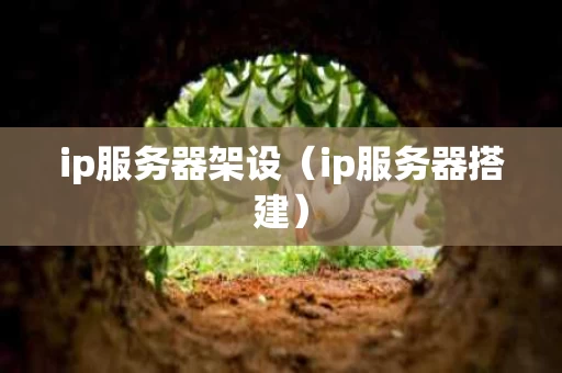 ip服务器架设（ip服务器搭建）
