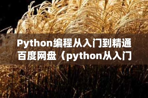 Python编程从入门到精通百度网盘（python从入门到精通pdf百度网盘）