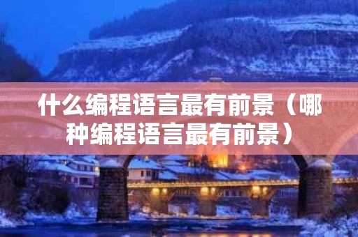什么编程语言最有前景（哪种编程语言最有前景）