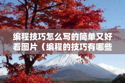 编程技巧怎么写的简单又好看图片（编程的技巧有哪些?）