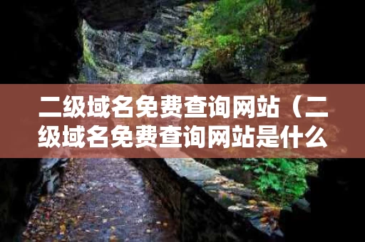 二级域名免费查询网站（二级域名免费查询网站是什么）