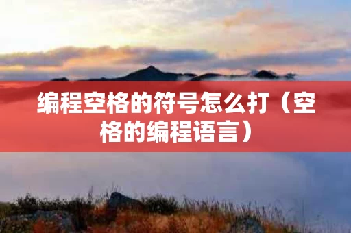 编程空格的符号怎么打（空格的编程语言）