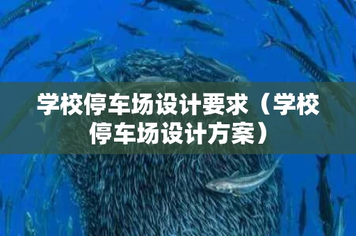 学校停车场设计要求（学校停车场设计方案）