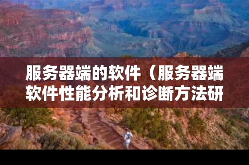 服务器端的软件（服务器端软件性能分析和诊断方法研究）