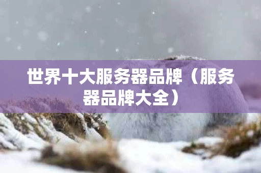 世界十大服务器品牌（服务器品牌大全）