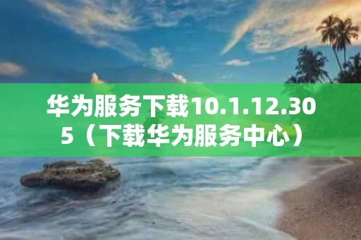 华为服务下载10.1.12.305（下载华为服务中心）