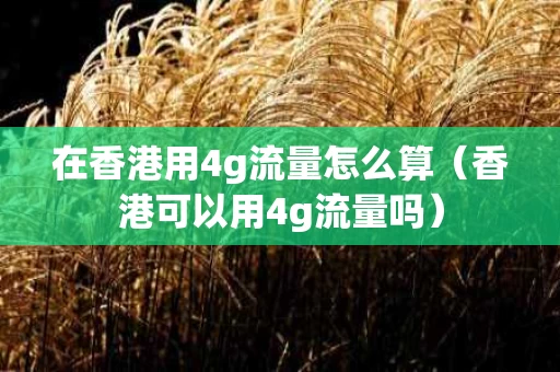 在香港用4g流量怎么算（香港可以用4g流量吗）