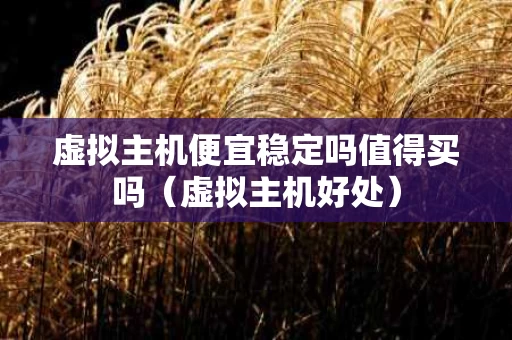 虚拟主机便宜稳定吗值得买吗（虚拟主机好处）