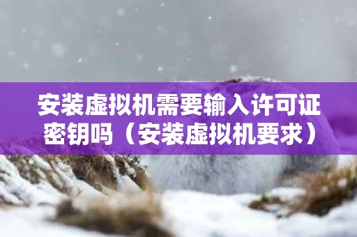 安装虚拟机需要输入许可证密钥吗（安装虚拟机要求）