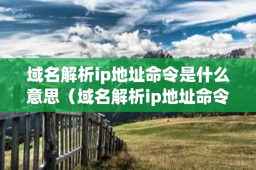 域名解析ip地址命令是什么意思（域名解析ip地址命令是什么意思啊）