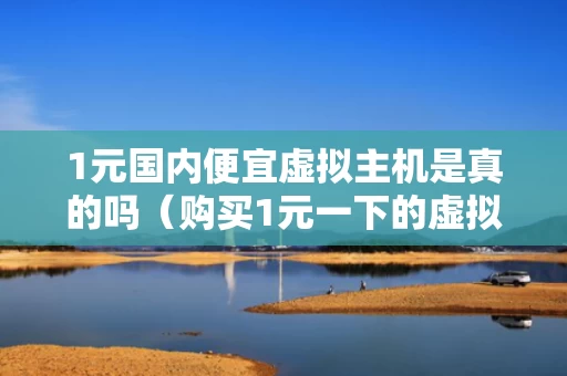 1元国内便宜虚拟主机是真的吗（购买1元一下的虚拟商品属于虚假交易吗）