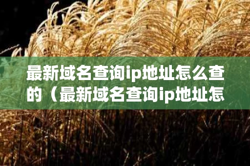 最新域名查询ip地址怎么查的（最新域名查询ip地址怎么查的到）