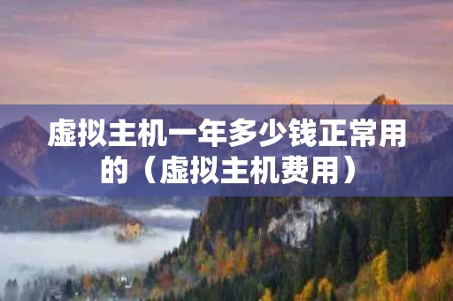 虚拟主机一年多少钱正常用的（虚拟主机费用）