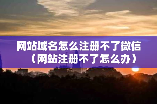 网站域名怎么注册不了微信（网站注册不了怎么办）