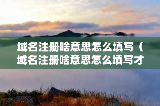 域名注册啥意思怎么填写（域名注册啥意思怎么填写才正确）