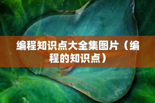 编程知识点大全集图片（编程的知识点）