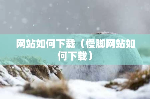 网站如何下载（慢脚网站如何下载）