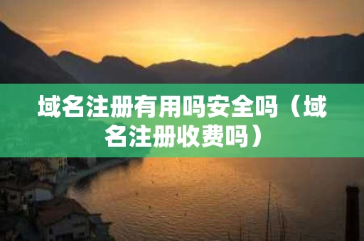 域名注册有用吗安全吗（域名注册收费吗）