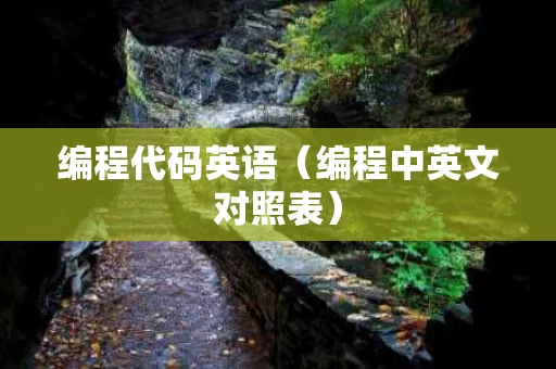 编程代码英语（编程中英文对照表）