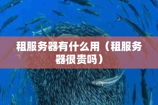 租服务器有什么用（租服务器很贵吗）
