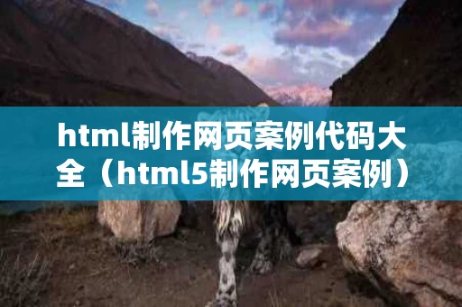 html制作网页案例代码大全（html5制作网页案例）