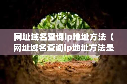 网址域名查询ip地址方法（网址域名查询ip地址方法是什么）