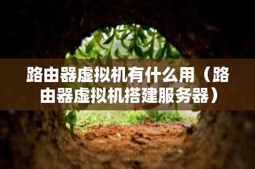 路由器虚拟机有什么用（路由器虚拟机搭建服务器）
