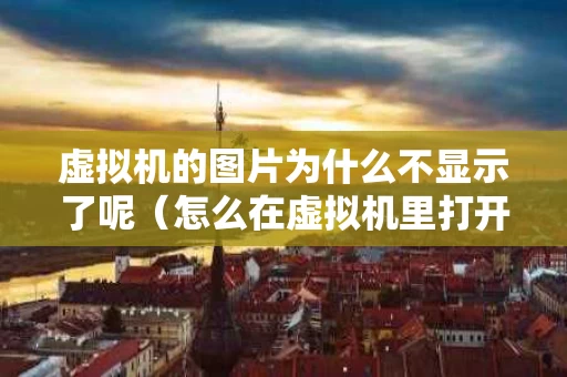 虚拟机的图片为什么不显示了呢（怎么在虚拟机里打开图片）
