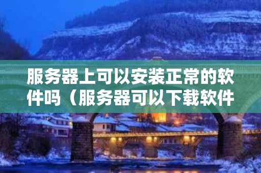 服务器上可以安装正常的软件吗（服务器可以下载软件吗）