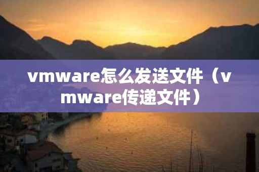vmware怎么发送文件（vmware传递文件）