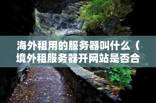海外租用的服务器叫什么（境外租服务器开网站是否合法）