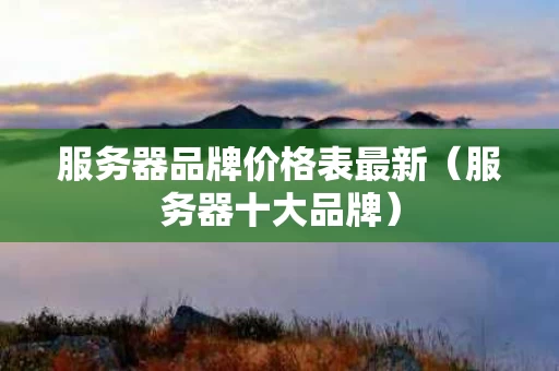 服务器品牌价格表最新（服务器十大品牌）