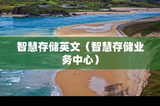 智慧存储英文（智慧存储业务中心）
