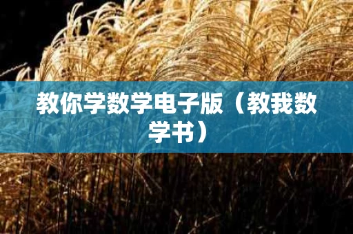 教你学数学电子版（教我数学书）