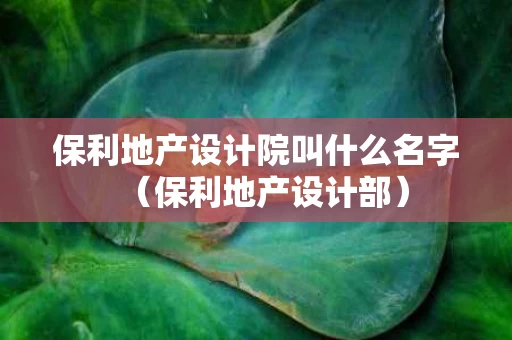 保利地产设计院叫什么名字（保利地产设计部）