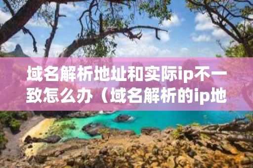 域名解析地址和实际ip不一致怎么办（域名解析的ip地址是公网ip吗）
