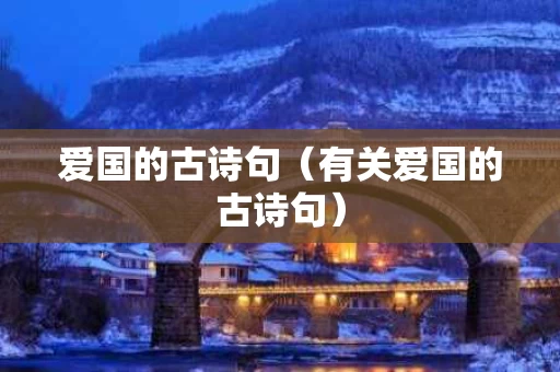 爱国的古诗句（有关爱国的古诗句）