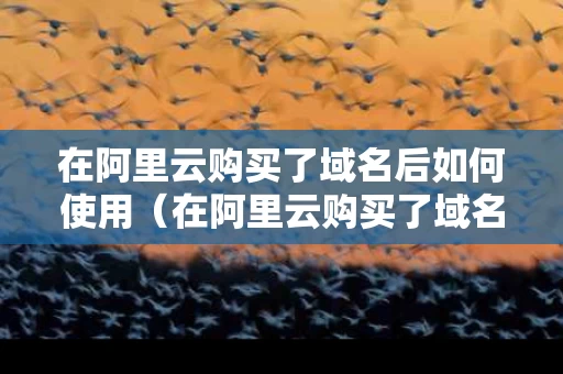 在阿里云购买了域名后如何使用（在阿里云购买了域名后如何使用）