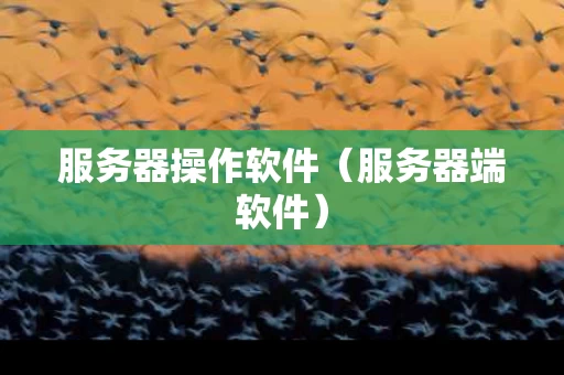 服务器操作软件（服务器端软件）