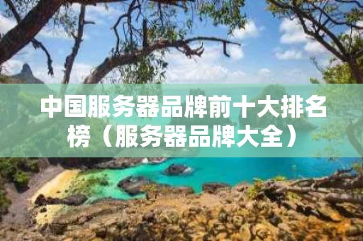 中国服务器品牌前十大排名榜（服务器品牌大全）