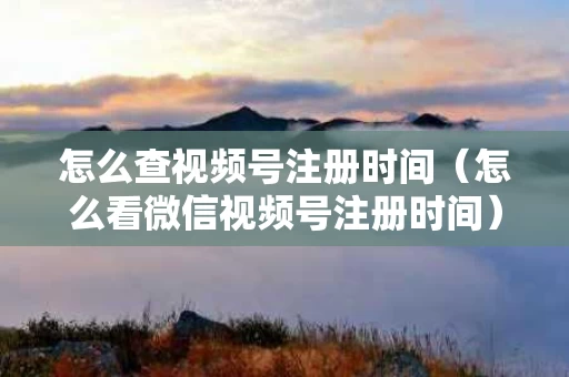 怎么查视频号注册时间（怎么看微信视频号注册时间）