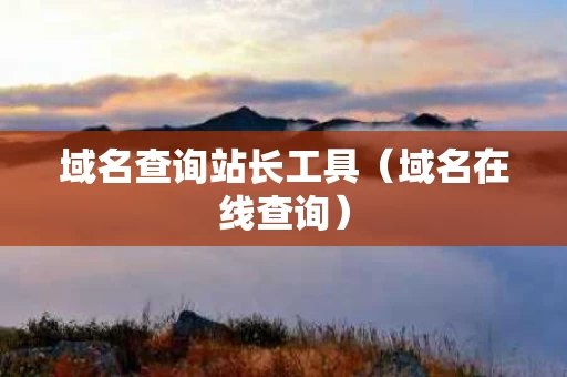 域名查询站长工具（域名在线查询）
