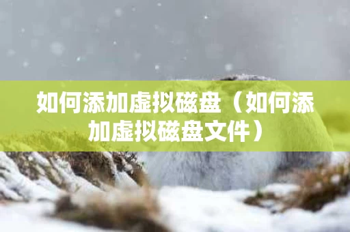 如何添加虚拟磁盘（如何添加虚拟磁盘文件）