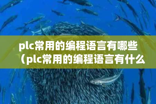plc常用的编程语言有哪些（plc常用的编程语言有什么）