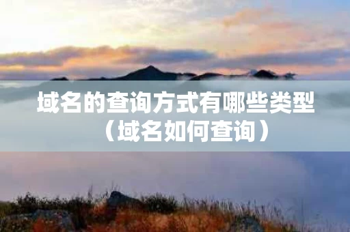域名的查询方式有哪些类型（域名如何查询）