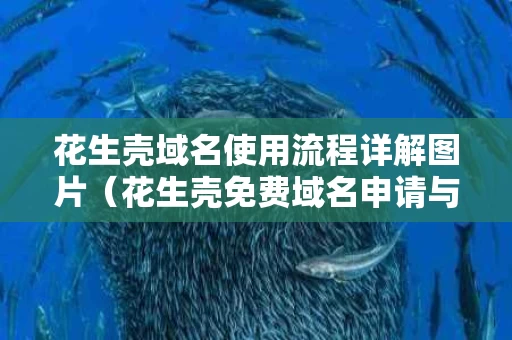 花生壳域名使用流程详解图片（花生壳免费域名申请与绑定）