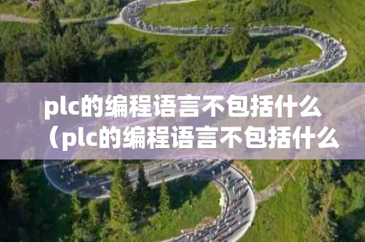 plc的编程语言不包括什么（plc的编程语言不包括什么语言）