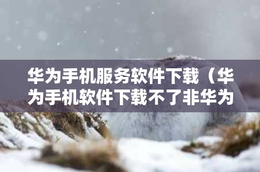 华为手机服务软件下载（华为手机软件下载不了非华为应用）